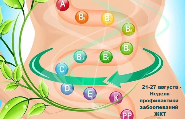21-27 августа–Неделя профилактики заболеваний ЖКТ