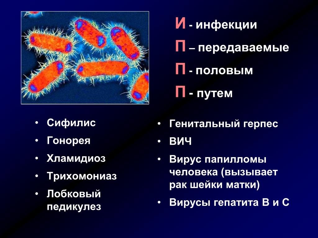 8-14 мая – Неделя профилактики инфекций